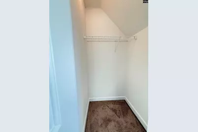 161 Mason Ridge Circle, Columbia, SC 29229 - Photo 30