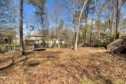 25 Glenhawk Loop, Irmo, SC 29063 - Photo 46