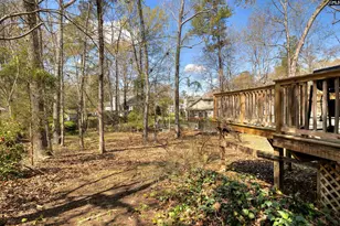 25 Glenhawk Loop, Irmo, SC 29063 - Photo 46