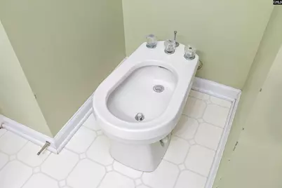 25 Glenhawk Loop, Irmo, SC 29063 - Photo 36