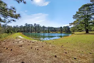 150 Satcher Rd, Lexington, SC 29072 - Photo 28