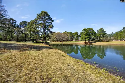 150 Satcher Road, Lexington, SC 29072 - Photo 30