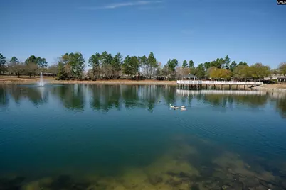 665 Blue Ledge Circle, Lexington, SC 29072 - Photo 32