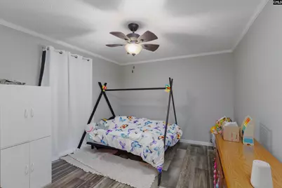 365 Tindal Road, Pelion, SC 29123 - Photo 14