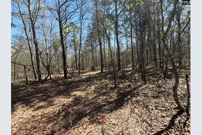 Bhl 9 Boise Cascade Road Bhl 9, Bethune, SC 29009 - Photo 42