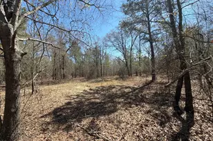 Bhl 9 Boise Cascade Road Bhl 9, Bethune, SC 29009 - Photo 38