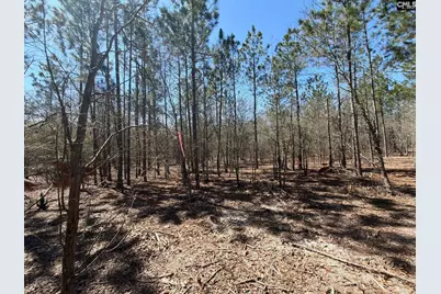 Bhl 9 Boise Cascade Road Bhl 9, Bethune, SC 29009 - Photo 28