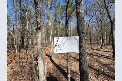 Bhl 9 Boise Cascade Road Bhl 9, Bethune, SC 29009 - Photo 20