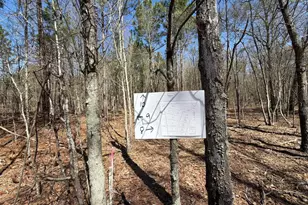 Bhl 9 Boise Cascade Road Bhl 9, Bethune, SC 29009 - Photo 20