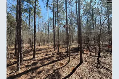 Bhl 9 Boise Cascade Road Bhl 9, Bethune, SC 29009 - Photo 30