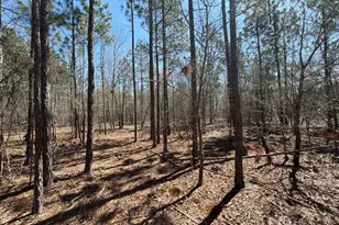 Bhl 9 Boise Cascade Road Bhl 9, Bethune, SC 29009 - Photo 30