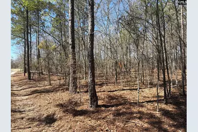 Bhl 9 Boise Cascade Road Bhl 9, Bethune, SC 29009 - Photo 4