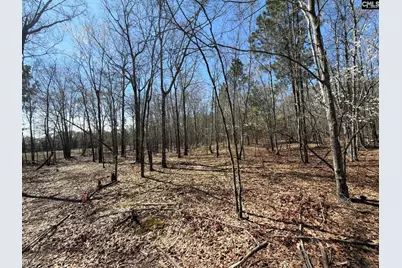 Bhl 9 Boise Cascade Road Bhl 9, Bethune, SC 29009 - Photo 14