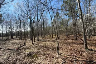 Bhl 9 Boise Cascade Road Bhl 9, Bethune, SC 29009 - Photo 14