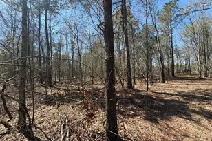 Bhl 9 Boise Cascade Road Bhl 9, Bethune, SC 29009 - Photo 34