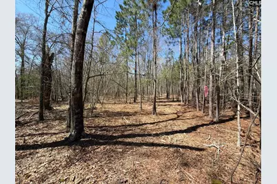 Bhl 9 Boise Cascade Road Bhl 9, Bethune, SC 29009 - Photo 22