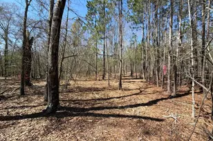 Bhl 9 Boise Cascade Road Bhl 9, Bethune, SC 29009 - Photo 22