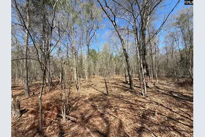 Bhl 9 Boise Cascade Road Bhl 9, Bethune, SC 29009 - Photo 16