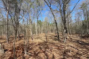 Bhl 9 Boise Cascade Road Bhl 9, Bethune, SC 29009 - Photo 16