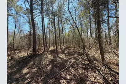 Bhl 9 Boise Cascade Road Bhl 9, Bethune, SC 29009 - Photo 40