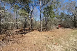 Bhl 9 Boise Cascade Road Bhl 9, Bethune, SC 29009 - Photo 8