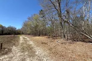 Bhl 9 Boise Cascade Road Bhl 9, Bethune, SC 29009 - Photo 12