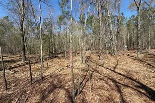 Bhl 9 Boise Cascade Road Bhl 9, Bethune, SC 29009 - Photo 18
