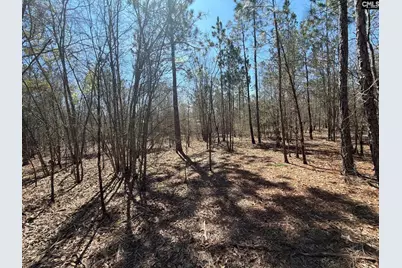 Bhl 9 Boise Cascade Road Bhl 9, Bethune, SC 29009 - Photo 32