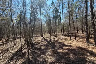 Bhl 9 Boise Cascade Road Bhl 9, Bethune, SC 29009 - Photo 32