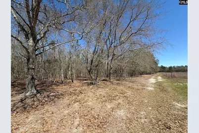 Bhl 9 Boise Cascade Road Bhl 9, Bethune, SC 29009 - Photo 10