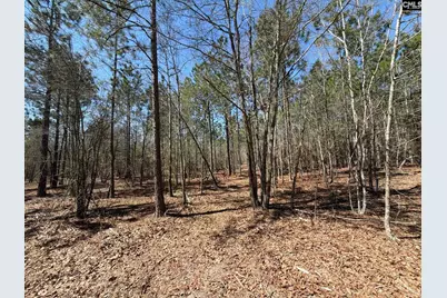 Bhl 9 Boise Cascade Road Bhl 9, Bethune, SC 29009 - Photo 24