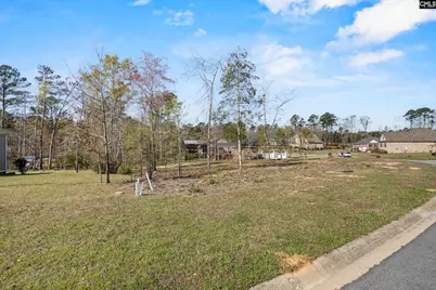 0 Golden Way #17, Prosperity, SC 29127 - Photo 6