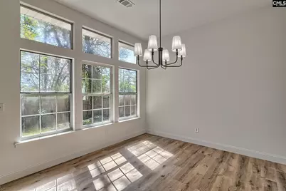 36 Saint Albans Road, Irmo, SC 29063 - Photo 10
