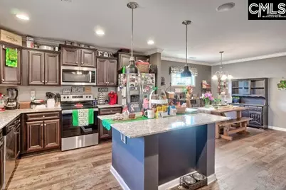 455 Crassula Drive, Lexington, SC 29073 - Photo 12