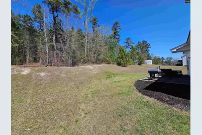 114 Tall Pines Road, Sandy Run, SC 29053 - Photo 28