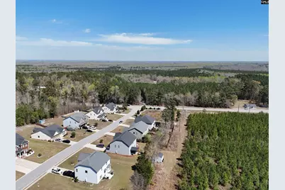 114 Tall Pines Road, Sandy Run, SC 29053 - Photo 32