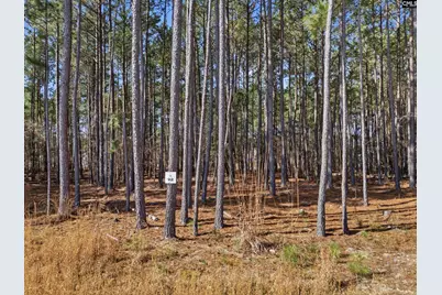 2 Timber Trail Lane #92, Prosperity, SC 29127 - Photo 10