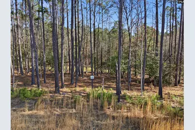 0 Timber Trail Lane #82, Prosperity, SC 29127 - Photo 10