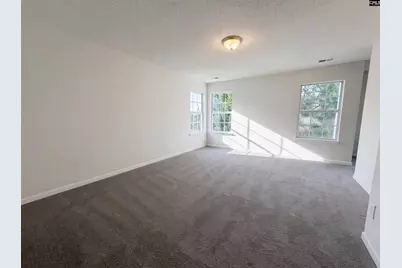 217 Branchview Drive, Columbia, SC 29229 - Photo 4