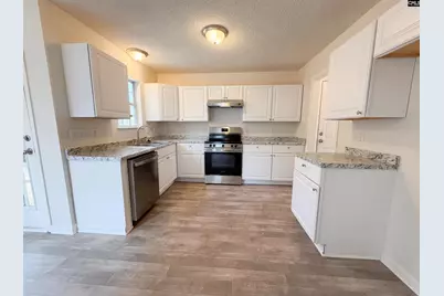 217 Branchview Drive, Columbia, SC 29229 - Photo 2