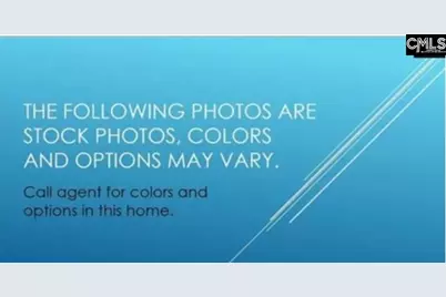 118 Monroe Preserve Lane, Chapin, SC 29036 - Photo 4