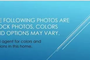 118 Monroe Preserve Ln, Chapin, SC 29036 - Photo 4