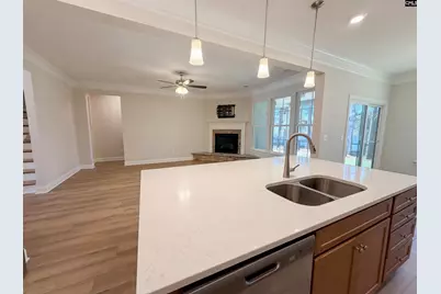 360 Autumn Pond Drive, Blythewood, SC 29016 - Photo 10