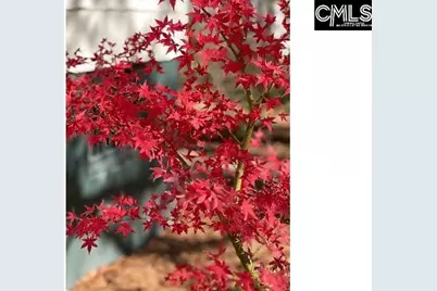 48 Veranda Lane, Blythewood, SC 29016 - Photo 38