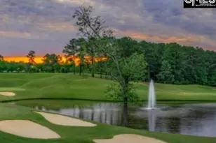 48 Veranda Ln, Blythewood, SC 29016 - Photo 42