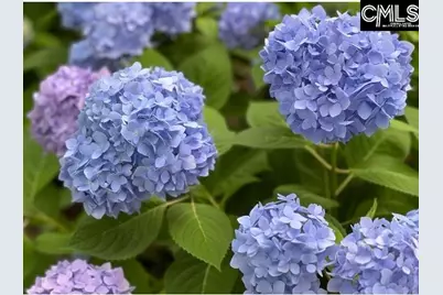 48 Veranda Lane, Blythewood, SC 29016 - Photo 36