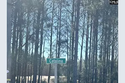 0 Catalina Boulevard, Sandy Run, SC 29160 - Photo 1