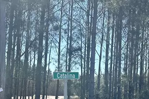 0 Catalina Blvd, Sandy Run, SC 29160 - Photo 1