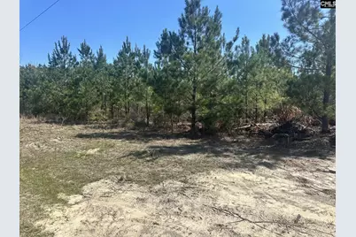 0 Catalina Boulevard, Sandy Run, SC 29160 - Photo 4