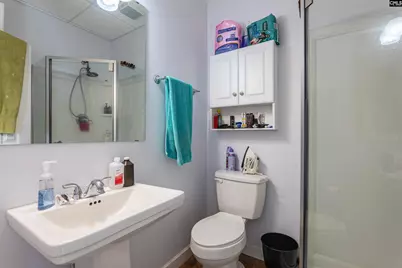 248 Rocky Retreat Court, Leesville, SC 29070 - Photo 14